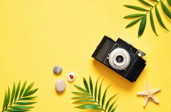 Tropische achtergrond. Palm bomen takken met camera en zeeschelp op gele achtergrond. Reizen. Kopiëren van ruimte. — Stockfoto