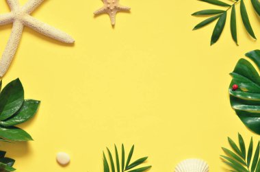 Tropikal arka plan. Palmiye ağaçların dalları ile deniz yıldızı ve Sarı zemin üzerine deniz kabuğu. Seyahat. Kopya alanı.