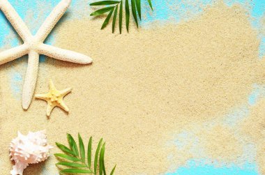 Yaz plaj. Deniz yıldızı ve kum üzerinde deniz kabuğu.