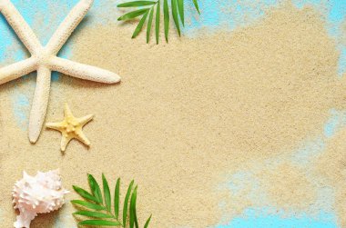 Yaz plaj. Deniz yıldızı ve kum üzerinde deniz kabuğu.