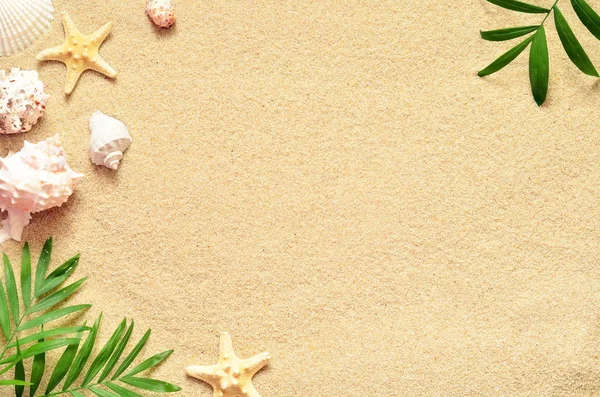 Playa de verano. Estrella de mar y concha en la arena . —  Fotos de Stock