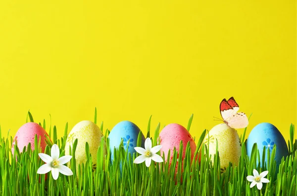 Huevos de Pascua pintados en una hierba verde en un prado y flores . — Foto de Stock
