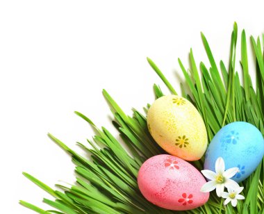 Yumurta boyama ile taze yeşil çimen çiçek