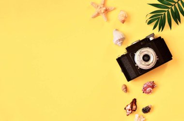 Tropikal arka plan. Palmiye ağaçların dalları ile kamera ve Sarı zemin üzerine deniz kabuğu. Seyahat. Kopya alanı.