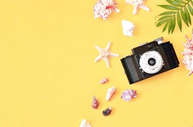 Tropikal arka plan. Palmiye ağaçların dalları ile kamera ve Sarı zemin üzerine deniz kabuğu. Seyahat. Kopya alanı.