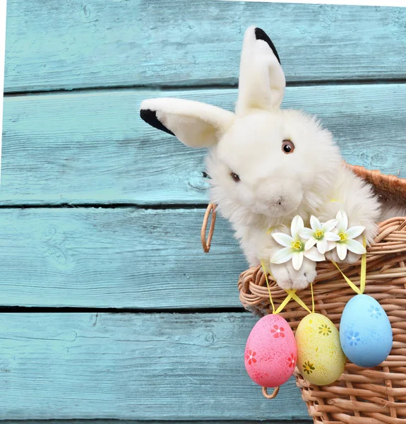 Easter funny bunny on basket and easter eggs. Easter background.