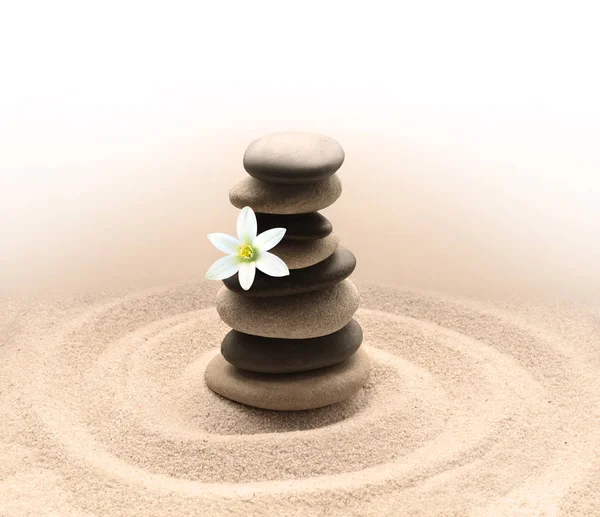 Piedras y flor blanca en la arena con círculos — Foto de Stock