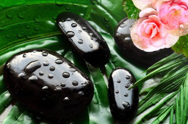 Spa arka plan, palmiye yaprakları ve siyah ıslak taşlar, üstten görünüm