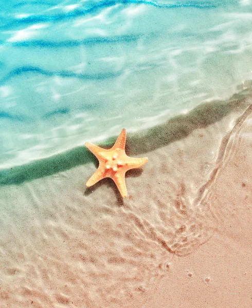Étoile de mer sur la plage d'été dans l'eau de mer . — Photo