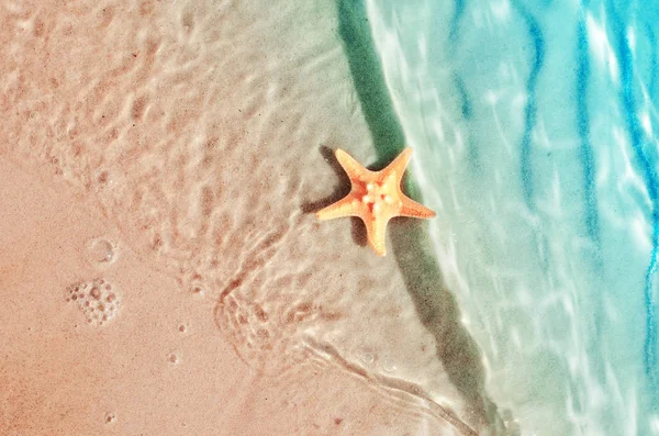 海の水で夏のビーチのヒトデ. — ストック写真