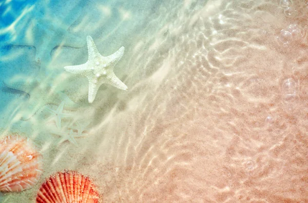 Estrella de mar y concha en la playa de verano en agua de mar . — Foto de Stock