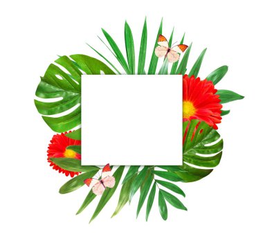 Yeşillik metin için yer ile beyaz bir arka plan üzerinde yaratıcı düzeni. Yaprak ve çiçek çerçevesinde. Çiçek arka plan. Yukarıdan görüntülemek