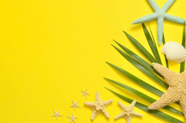 Tropikal arka plan. Deniz yıldızı ve Sarı zemin üzerine seashell ile palmiye ağacı dalı. Seyahat. Kopya alanı.