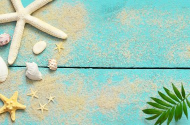 Yaz deniz arka plan. Deniz kabuklarını, ahşap arka plan mavi bir deniz yıldızı ve palmiye dalı