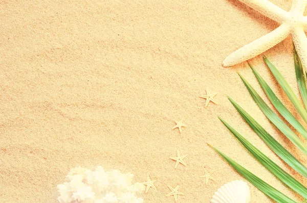 Tropical Background. Palm tree branch with starfish and coral on sandy background. Travel. Copy space. — Stock Photo, Image