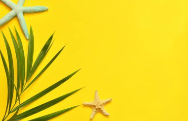 Tropikal arka plan. Sarı zemin üzerine deniz yıldızı ile palmiye ağacı dalı. Seyahat.