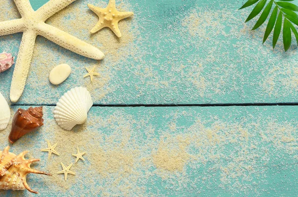 Fondo marino de verano. Conchas marinas, estrellas de mar y rama de palma sobre un fondo azul de madera —  Fotos de Stock