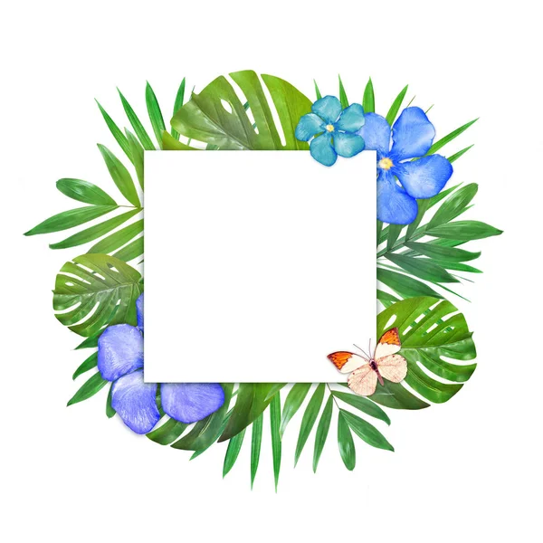Tropischen Dschungel Blätter und Blumen Hintergrund — Stockfoto