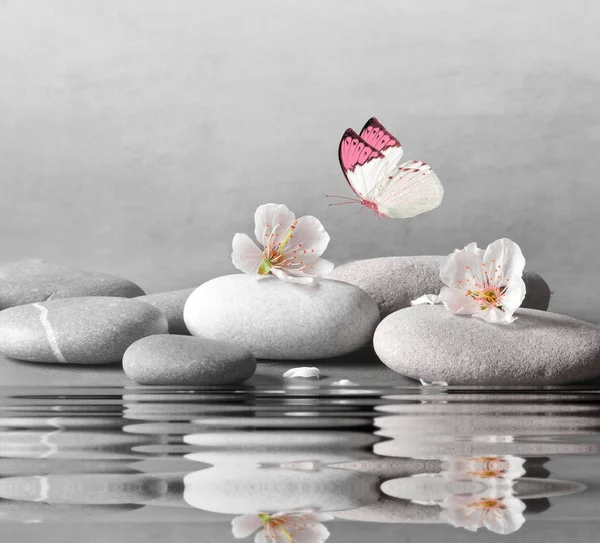 Flower and stone zen spa on water surface and grey background — Stock Photo, Image