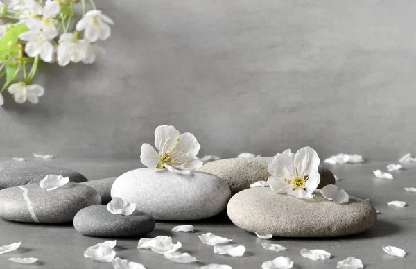 Квітковий і кам'яний дзен спа на сірому фоні — стокове фото