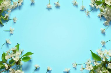 Mavi arka planda çiçek açan dallar ve yapraklar