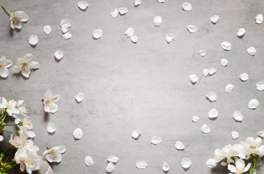 Çiçekli dalları ve yaprakları gri bir arka plan üzerinde