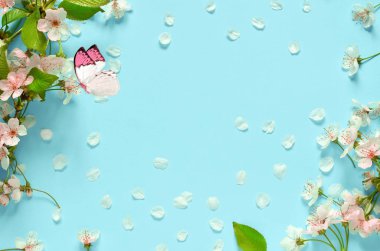 Wild Cherry blossom ve kelebek.
