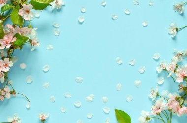 Mavi arka planda çiçek açan dallar ve yapraklar