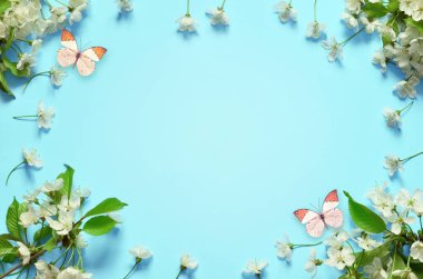 Wild Cherry blossom ve kelebek.