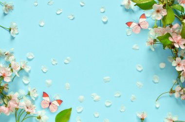 Wild Cherry blossom ve kelebek.