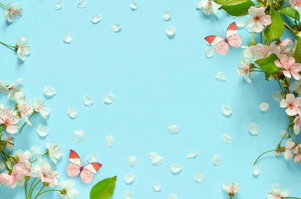 Wild Cherry blossom ve kelebek.