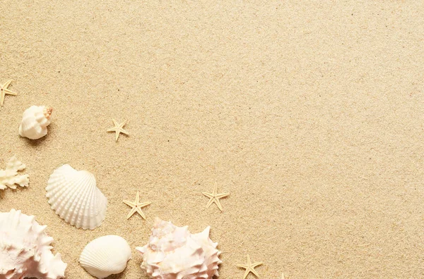 ヒトデと貝殻砂の海。コピー スペース平面図. — ストック写真