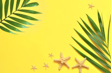 Tropikal arka plan. Palmiye ağaçlarının dalları ile denizyıldızı sarı arka plan üzerinde. Seyahat.