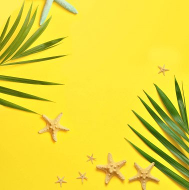 Tropikal arka plan. Palmiye ağaçlarının dalları ile denizyıldızı sarı arka plan üzerinde. Seyahat.