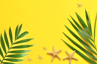 Tropikal arka plan. Palmiye ağaçlarının dalları ile denizyıldızı sarı arka plan üzerinde. Seyahat.