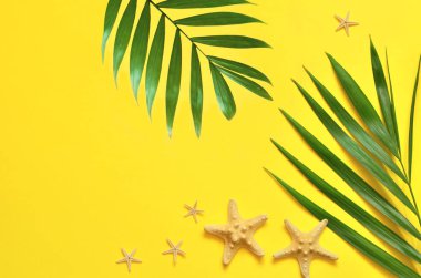 Tropikal arka plan. Palmiye ağaçlarının dalları ile denizyıldızı sarı arka plan üzerinde. Seyahat.