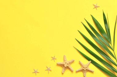 Tropikal arka plan. Palmiye ağaçlarının dalları ile denizyıldızı sarı arka plan üzerinde. Seyahat.