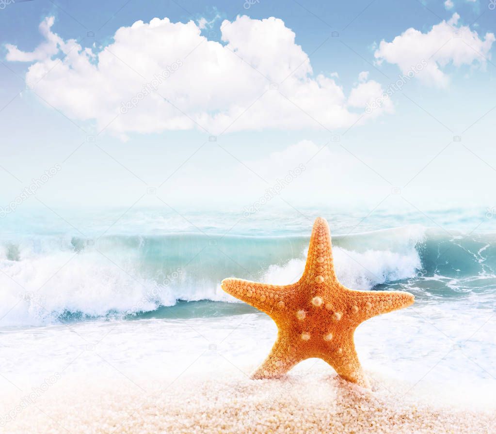 Starfish on sandy beach