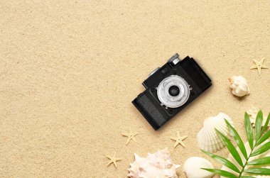 Tropikal arka plan. Palmiye ağaçların dalları ile kamera ve kumlu zemin üzerine deniz kabuğu. Seyahat. Kopya alanı.