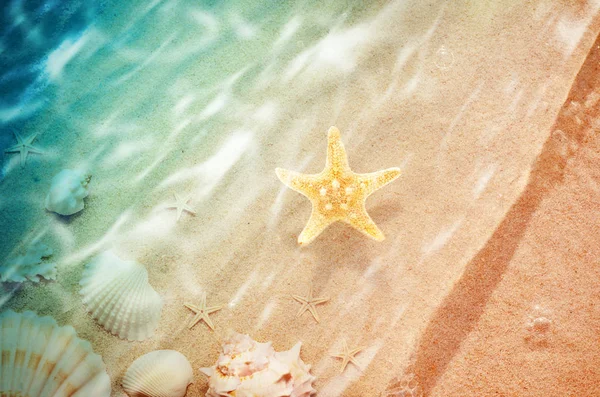 Starfish on the summer beach with sand — Stock Photo, Image