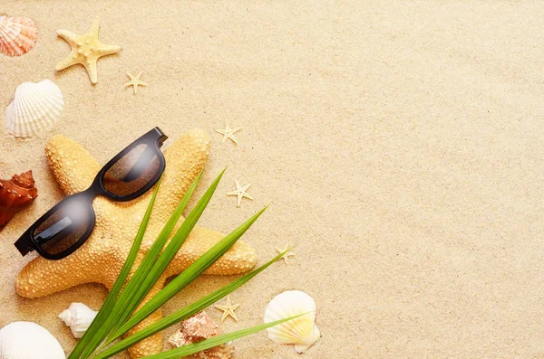 Divertidas estrellas de mar y conchas en la playa de verano con arena —  Fotos de Stock