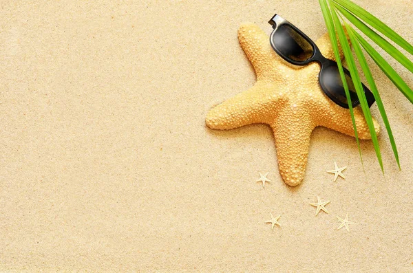 Divertida estrella de mar en la playa de verano con arena —  Fotos de Stock