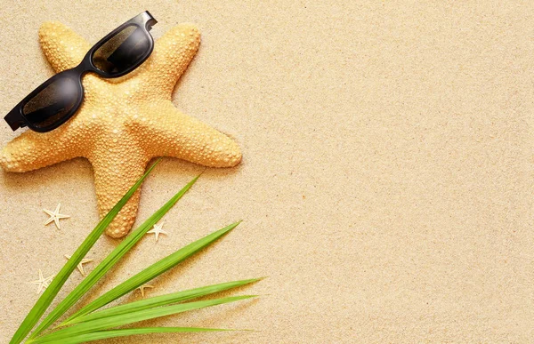 Divertida estrella de mar en la playa de verano con arena —  Fotos de Stock