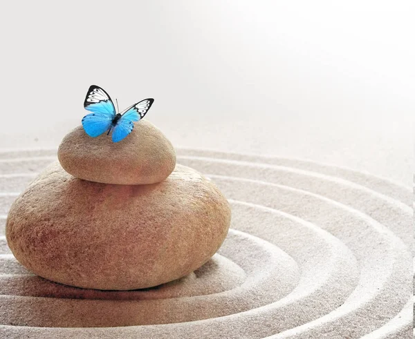 Zen garden meditation stone background and butterfly with stones and lines in sand for relaxation balance and harmony spirituality or spa wellness — Stock Photo, Image