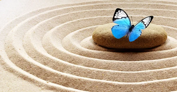 Zen garden meditation stone background and butterfly with stones and lines in sand for relaxation balance and harmony spirituality or spa wellness — Stock Photo, Image