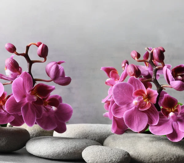 Komposition mit Wellness-Steinen, orchideenrosa Blume auf grauem Hintergrund. — Stockfoto