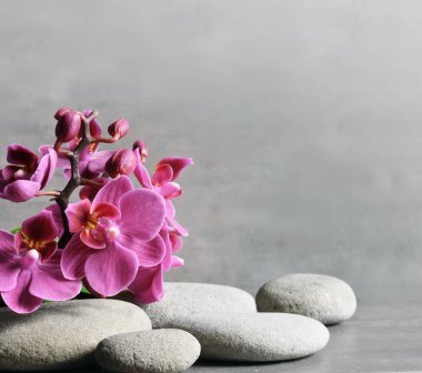 Spa taşlı kompozisyon, gri arkaplanda orkide pembe çiçek..