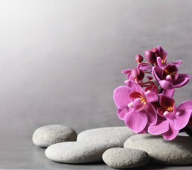 Spa taşlı kompozisyon, gri arkaplanda orkide pembe çiçek..