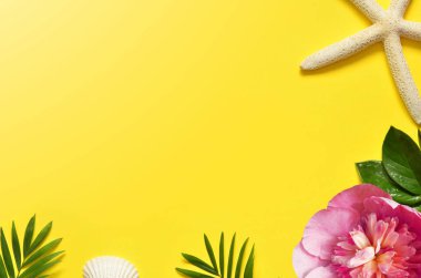 Yaz Tropik Arkaplanı. Palmiye ağaçları dalları, deniz yıldızı ve sarı arka planda deniz kabuğu. Yaz konsepti. Seyahat. Boşluğu kopyala