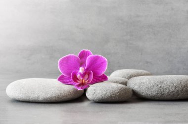 Gri arkaplanda spa taşları ve orkide çiçeği